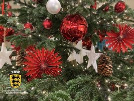 Frohe Weihnachten und einen guten Rutsch