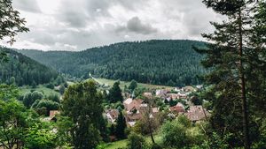 Tage voller Inhalte