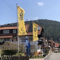 "Masters Gold Cup" und "Masters Diamond Cup" in Enzklösterle